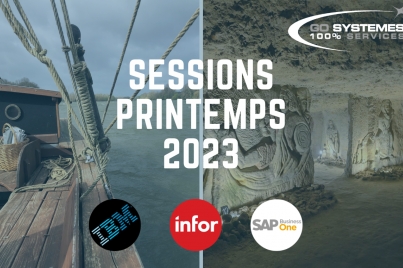 Cohésion des équipes IBMi-Infor XA et SAP Business One - Printemps 2023