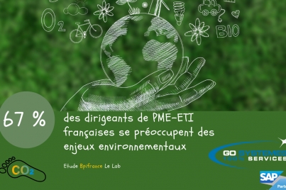 SAP Business One : émission de carbone et impact environnemental
