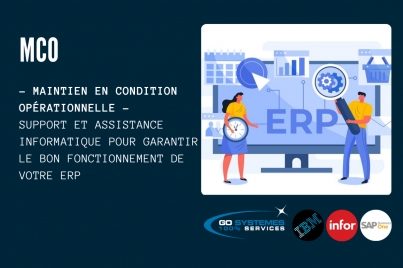 Support et assistance informatique - MCO de l'ERP en entreprise